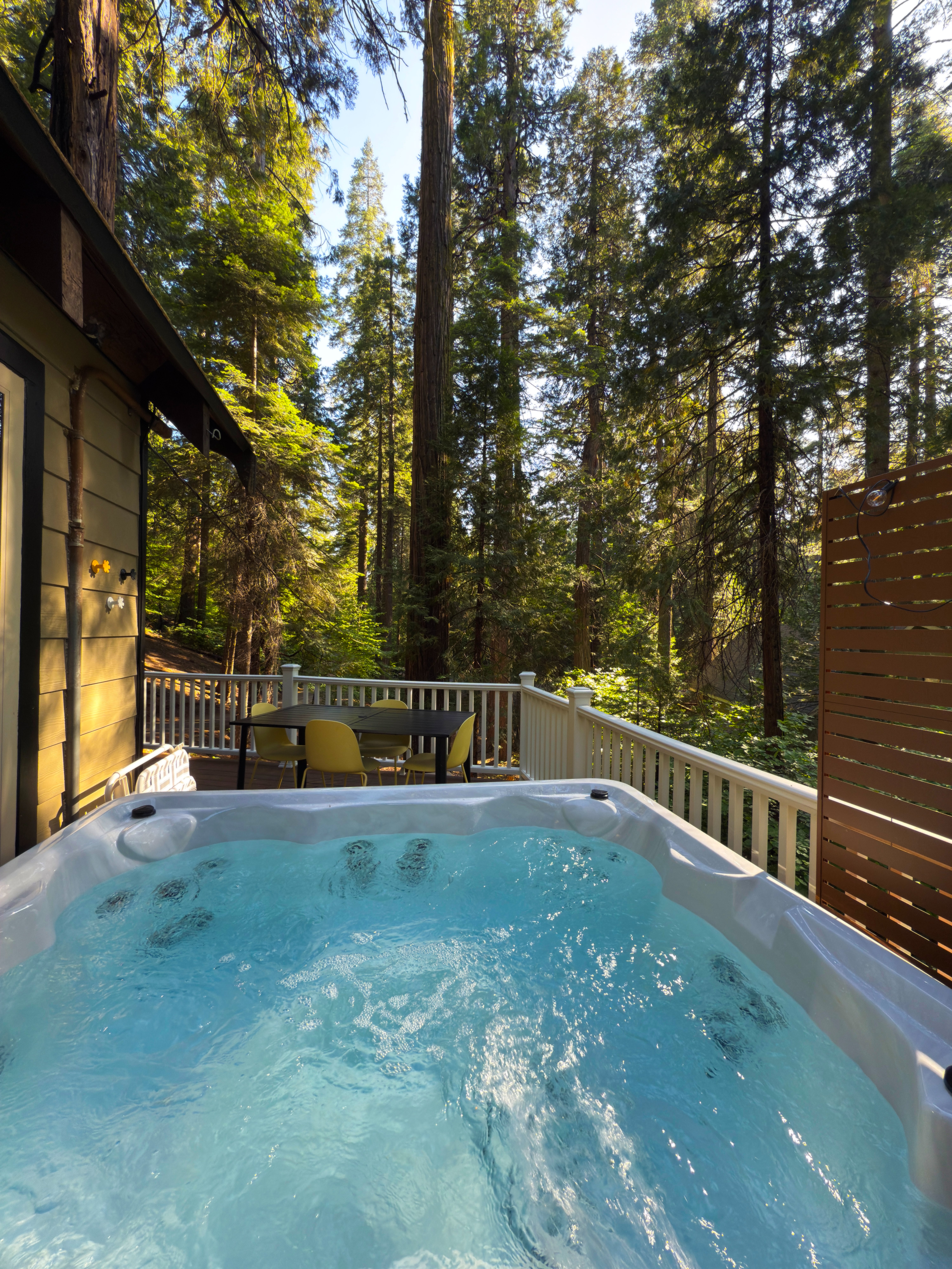 Hot tub forest view
