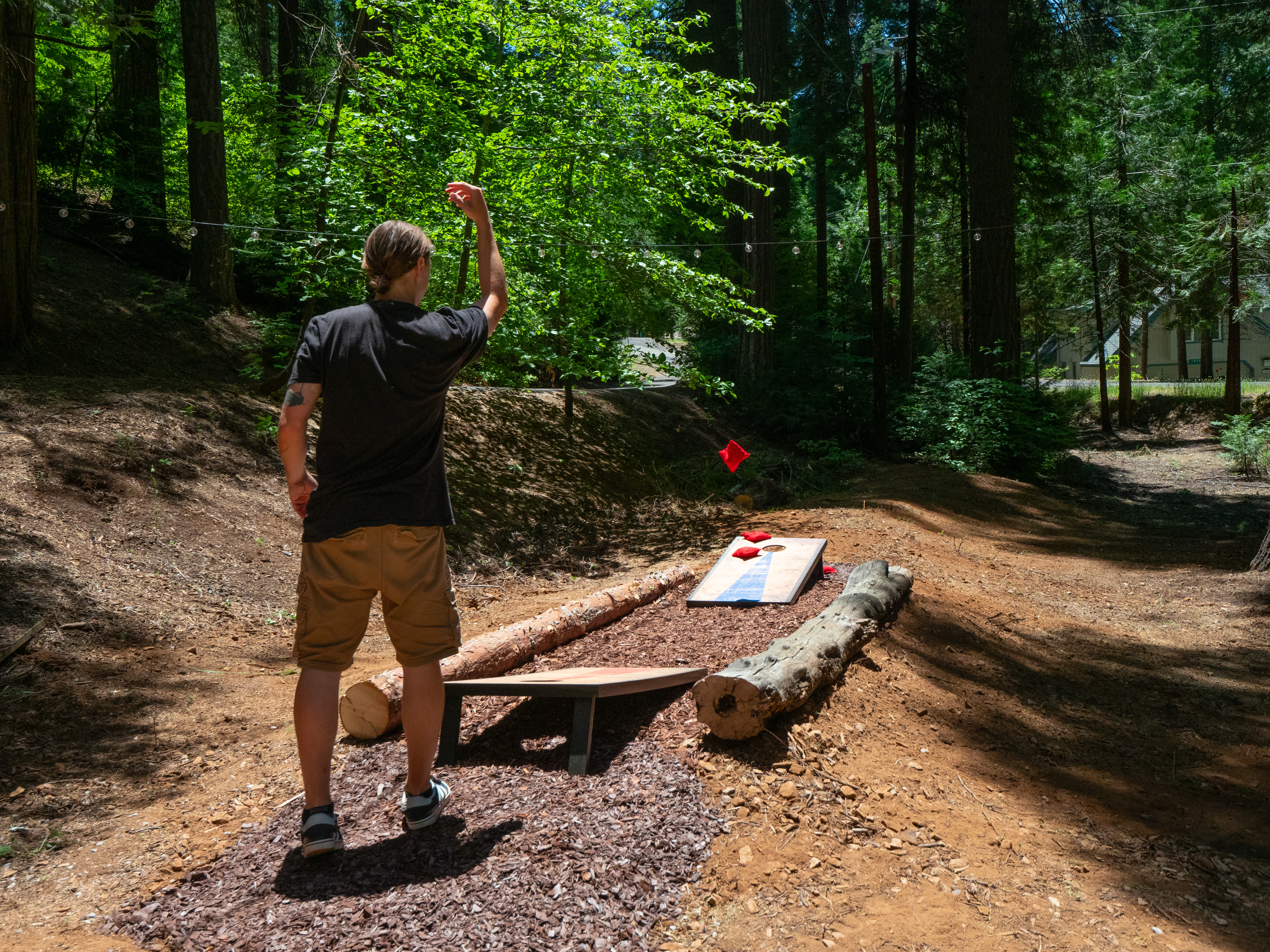 Cornhole in the forest