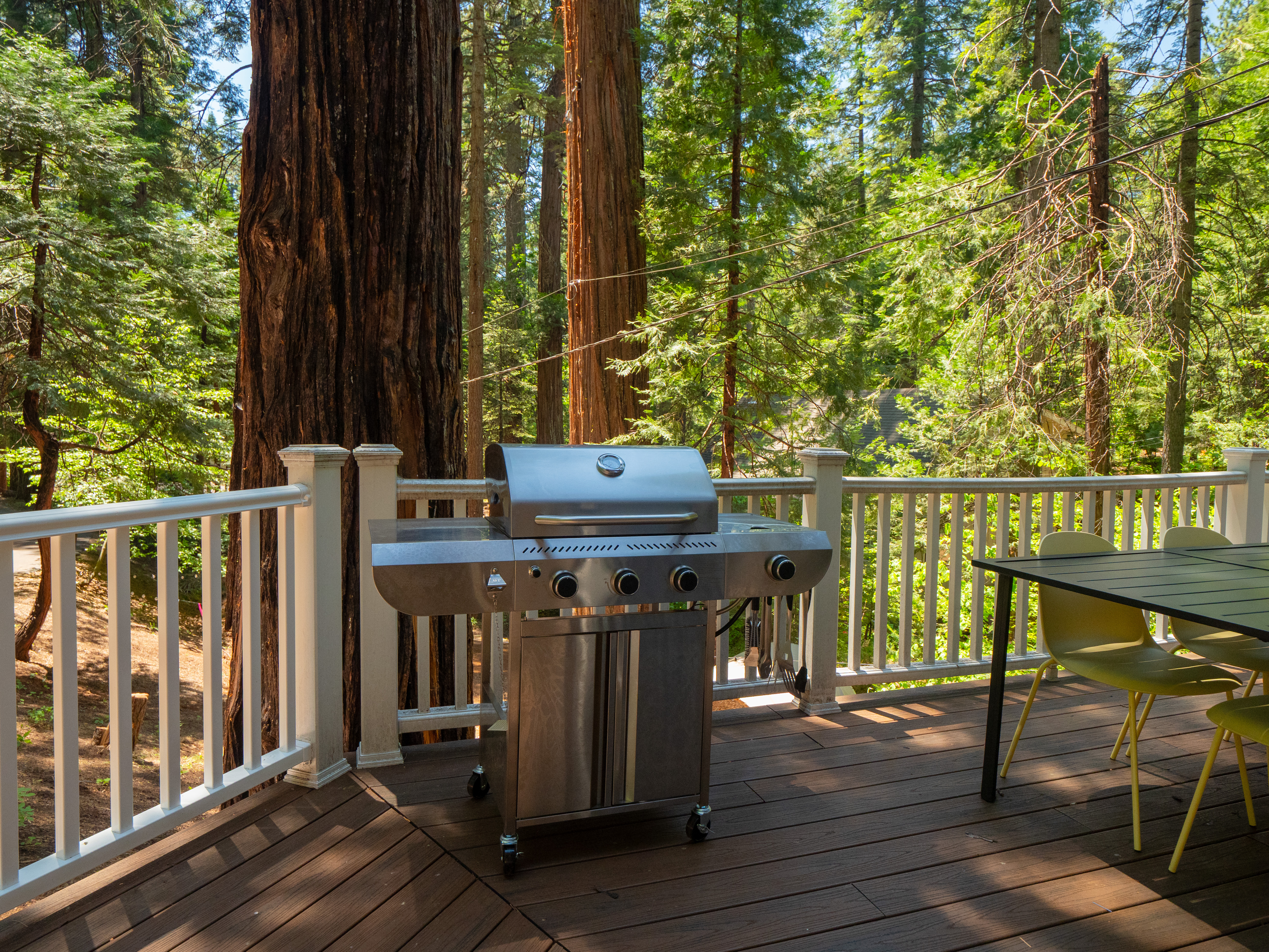 BBQ grill on the patio